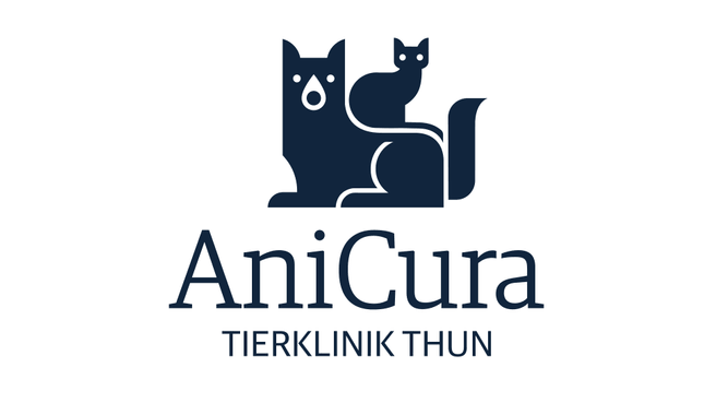 Bild AniCura Tierklinik Thun AG