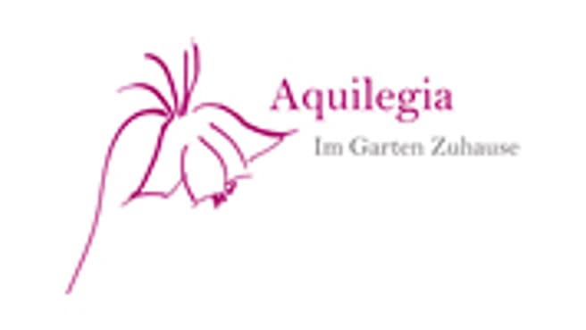 Bild Aquilegia Im Garten Zuhause GmbH