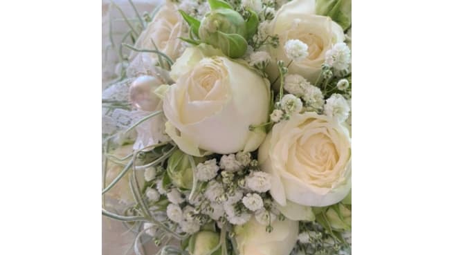 Töpferei u- Blumen Steiner GmbH image