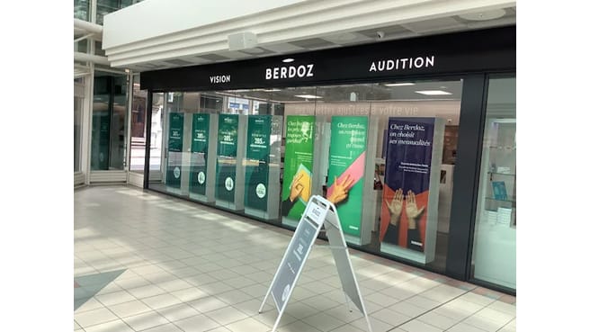 Berdoz Vision & Audition image