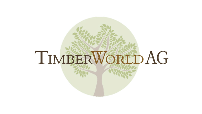 Immagine Timber World AG