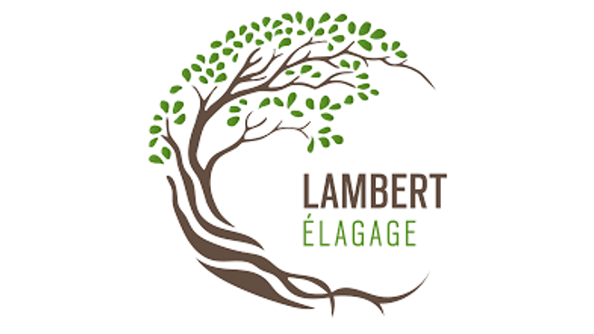 Image Lambert élagage