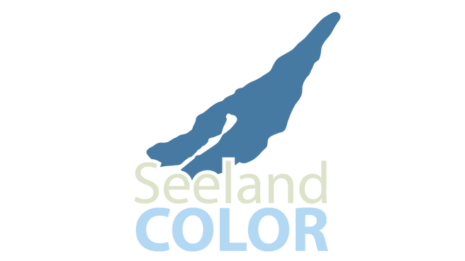 Bild Seeland Color Maler- und Gipsergeschäft Hügli