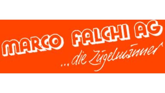 Falchi Marco AG image