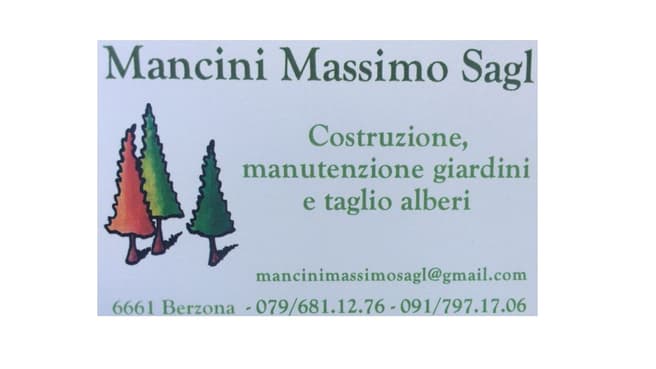 Mancini Massimo Sagl image