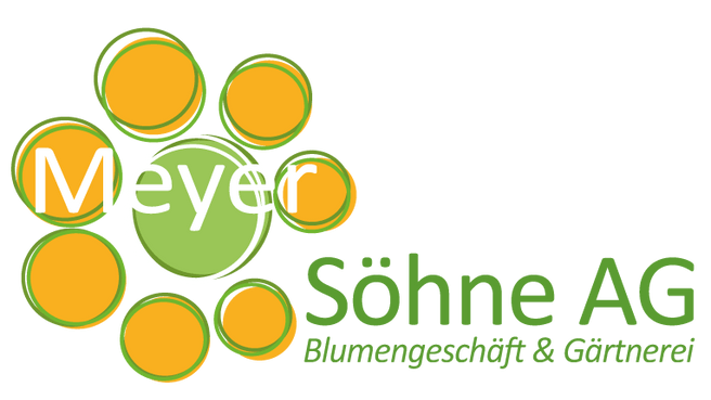 Image Meyer Söhne AG