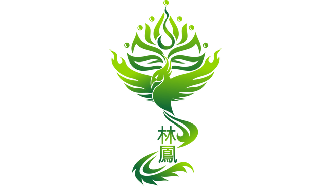 TCM Lín Fèng - Naturheilpraxis für Traditionelle Chinesische Medizin image