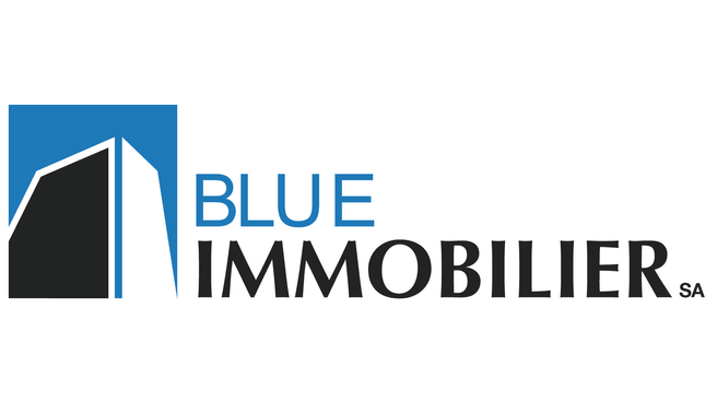 Blue Immobilier SA image