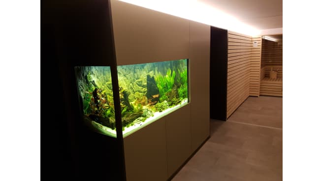 Immagine Schreinerei Lehmann AG