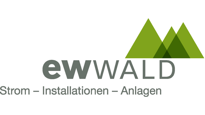 EW Wald AG image