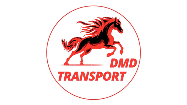 Immagine DMD Transport