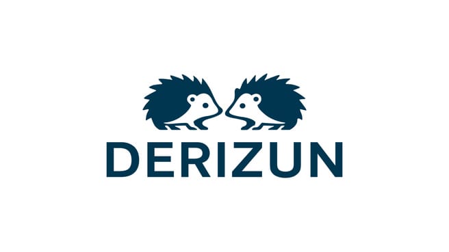 Bild Derizun Treuhand AG