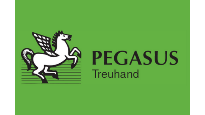 Bild Pegasus-Treuhand