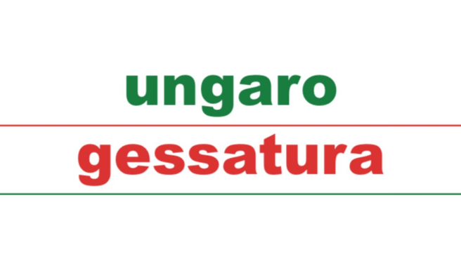 Image Ungaro Gessatura