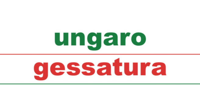 Immagine Ungaro Gessatura