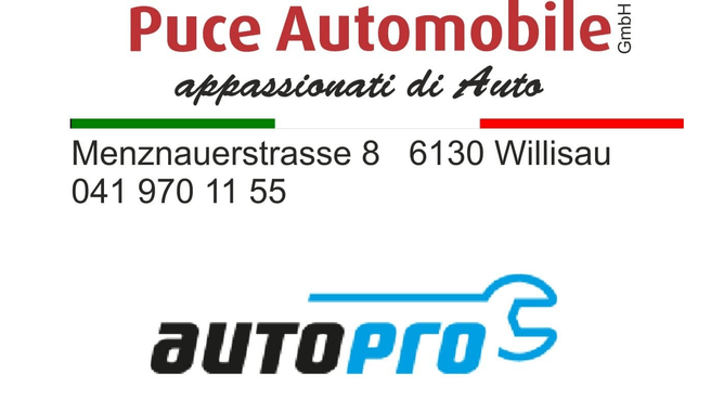 Bild Puce Automobile GmbH