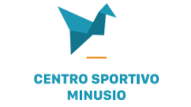 Bild CSM Centro Sportivo Minusio SA