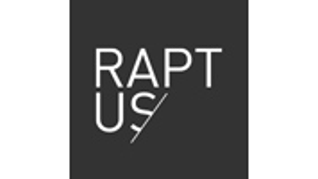 Bild Raptus IT Services