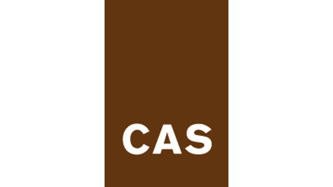 CAS Gruppe AG image