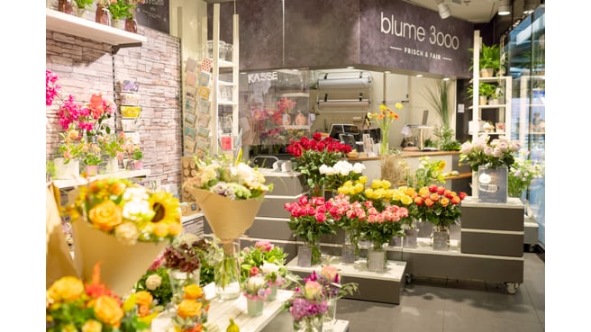 Bild blume 3000 | Bern