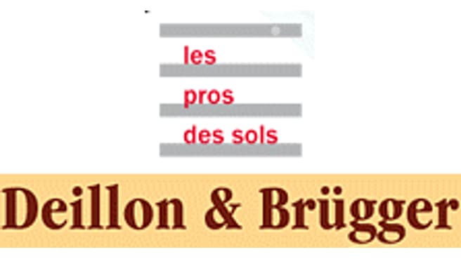 Deillon & Brügger SA image