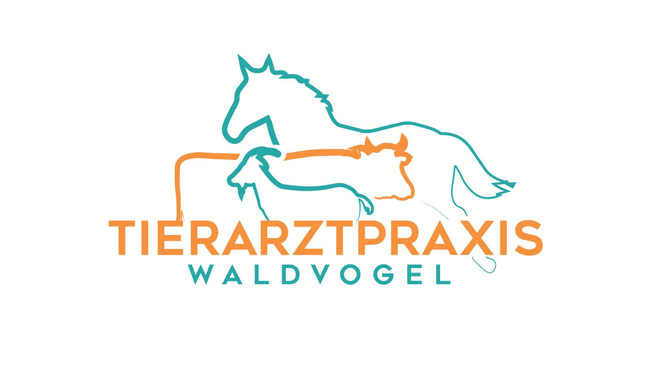 Image Tierarztpraxis Waldvogel AG
