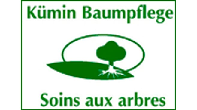 Kümin Baumpflege GmbH image