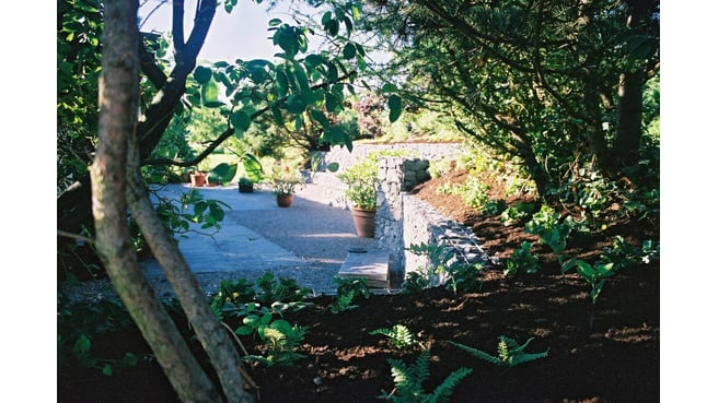 Bild LEDER Garten- + Landschaftsbau