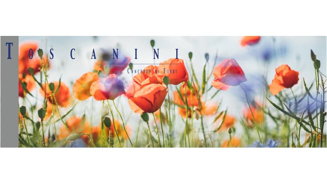 Bild Toscanini GmbH, Blumen & Ambiente