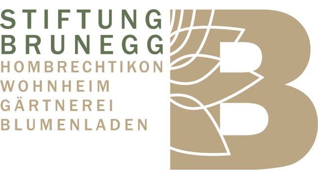 Stiftung BRUNEGG image
