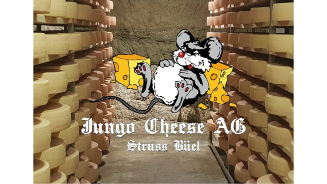 Bild Jungo Cheese AG