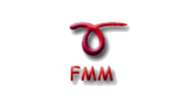 Frei MultiMedia FMM image