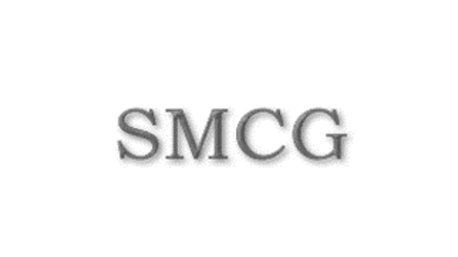 SMCG Senior Managment Consulting Group AG image