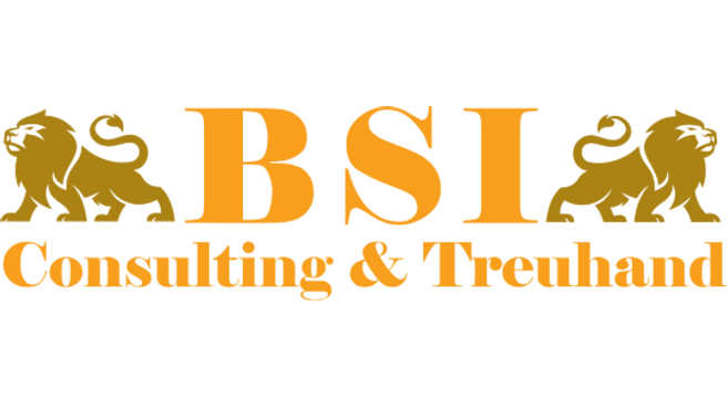 BSI Consulting Treuhand AG image