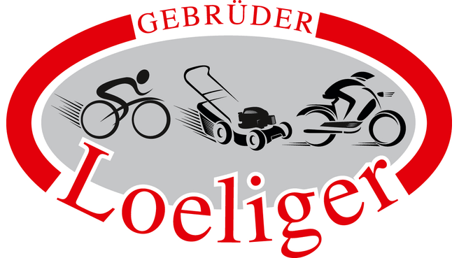 Immagine Gebrüder Loeliger GmbH