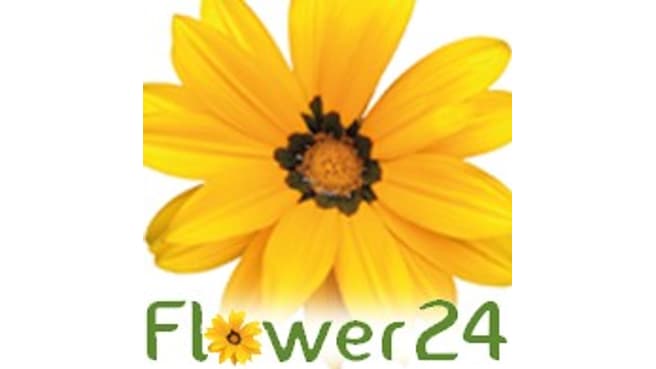 Bild Flower 24 Sarl