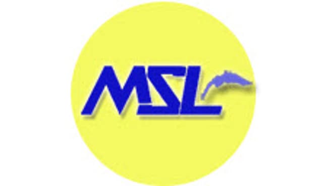 Immagine MSL Multi Services Lemania Sàrl