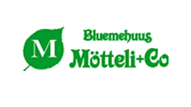 Bluemehuus Mötteli + Co. image