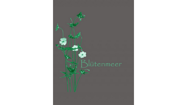 Immagine Blütenmeer GmbH