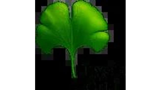 Physiotherapie Stephanie Hahn image