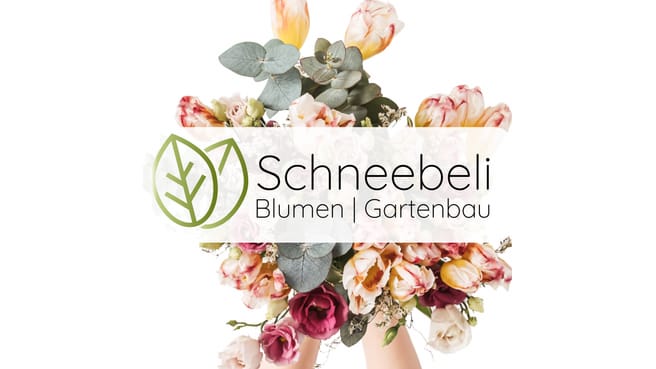 Bild Schneebeli | Blumen | Gartenbau