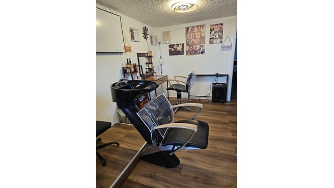 Image Haarkunst-style