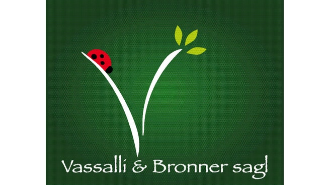 Vassalli & Bronner Sagl image