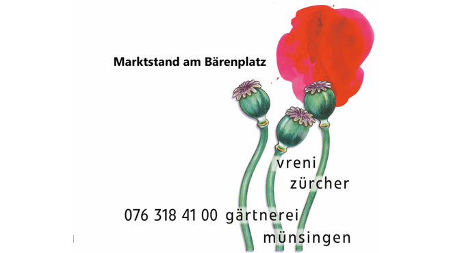 Blumen & Pflanzen Vreni Zürcher image