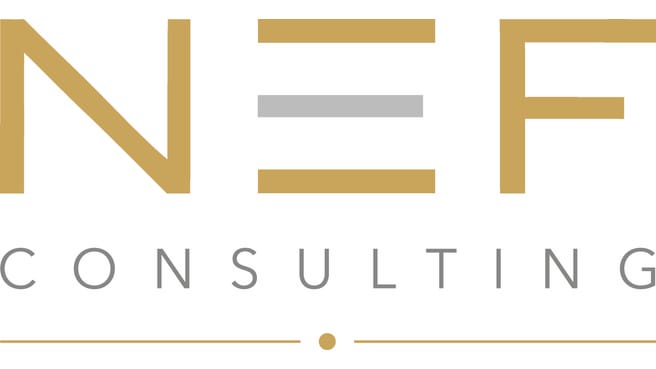 Nef Consulting image