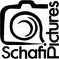 Image Schafi-Pictures