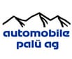 Image Automobile Palü AG