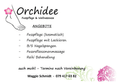 Orchidee image