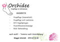 Bild Orchidee