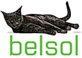 Belsol-Mitterer SA image
